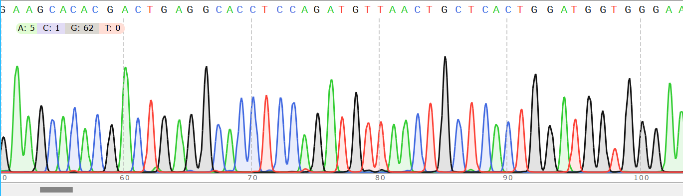 Figure 5: Antibody Heavy and Light Chain Sequencing Peak Map