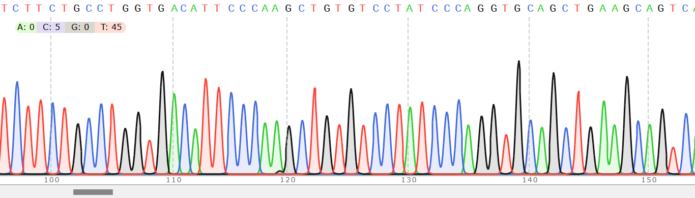 Figure 4: Antibody Heavy and Light Chain Sequence Analysis