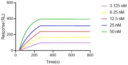 Top1 Cell Line Antibody Affinity Detection